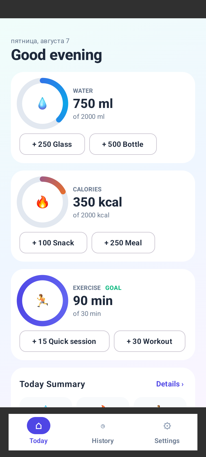 Wellness Tally daily overview screen